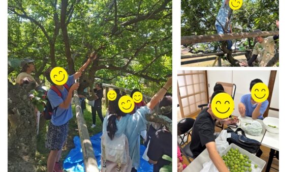 6月＊プレスタワークスの1日・梅ジュースを作ろう♪