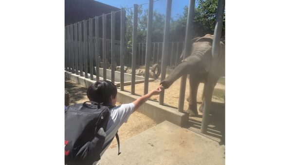 『6月プレスタかがわの一日・‌子供達と動物園に行きました！』