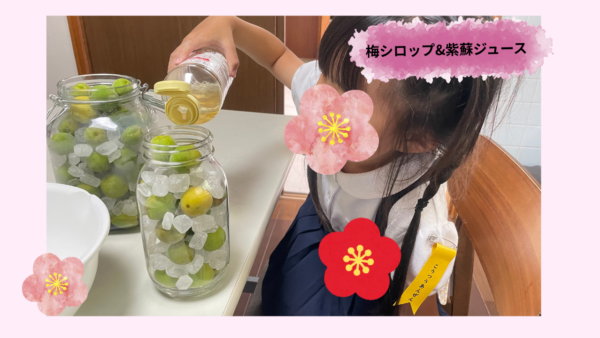 ６月＊プレスタにこ　梅ジュース＆紫蘇ジュース作り