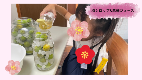 ６月＊プレスタにこ　梅ジュース＆紫蘇ジュース作り